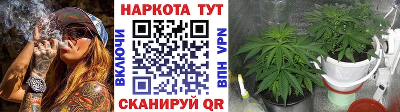 Купить Гагарин блэк спрут вход  ГАШ 
