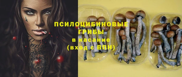 бошки Аркадак
