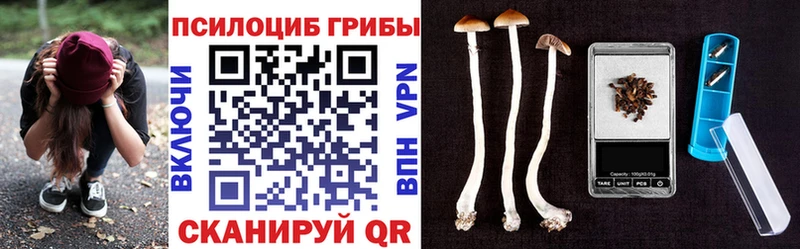 купить закладку  маркетплейс состав  Галлюциногенные грибы MAGIC MUSHROOMS  Гагарин 